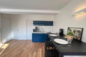Beautiful 2 bedrooms 1 bathroom Cannes